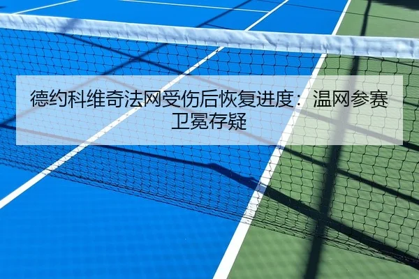 德约科维奇法网受伤后恢复进度：温网参赛卫冕存疑